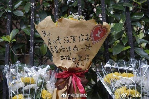 赏金大对决正式版